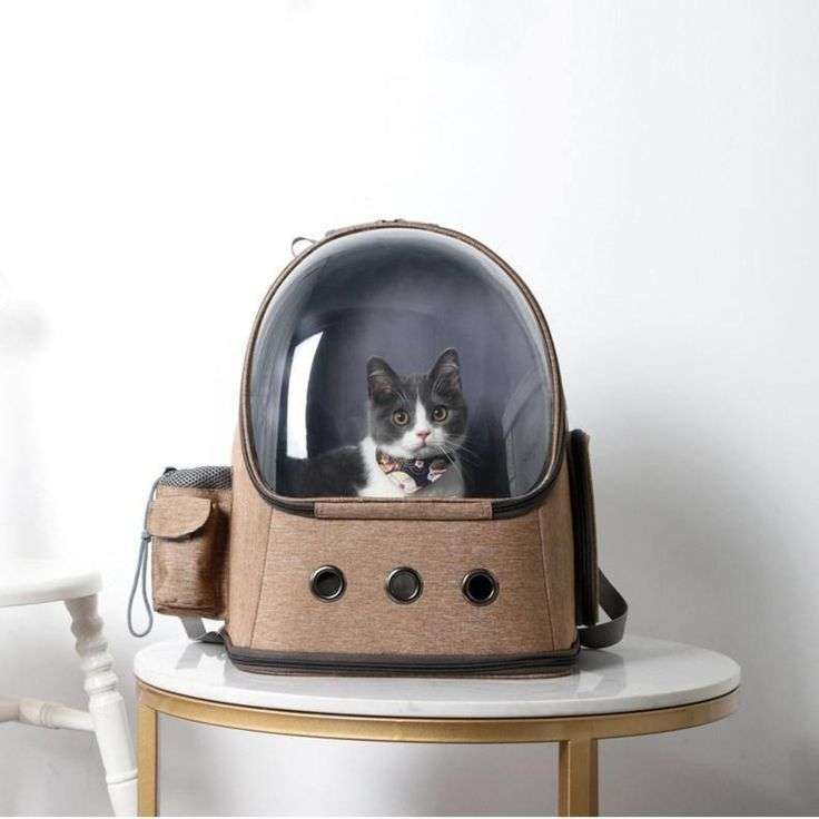 Pet Backpacks for You and Your Furry Friend: 10 Thrilling Pet-Friendly Adventures 7 Pet Backpack